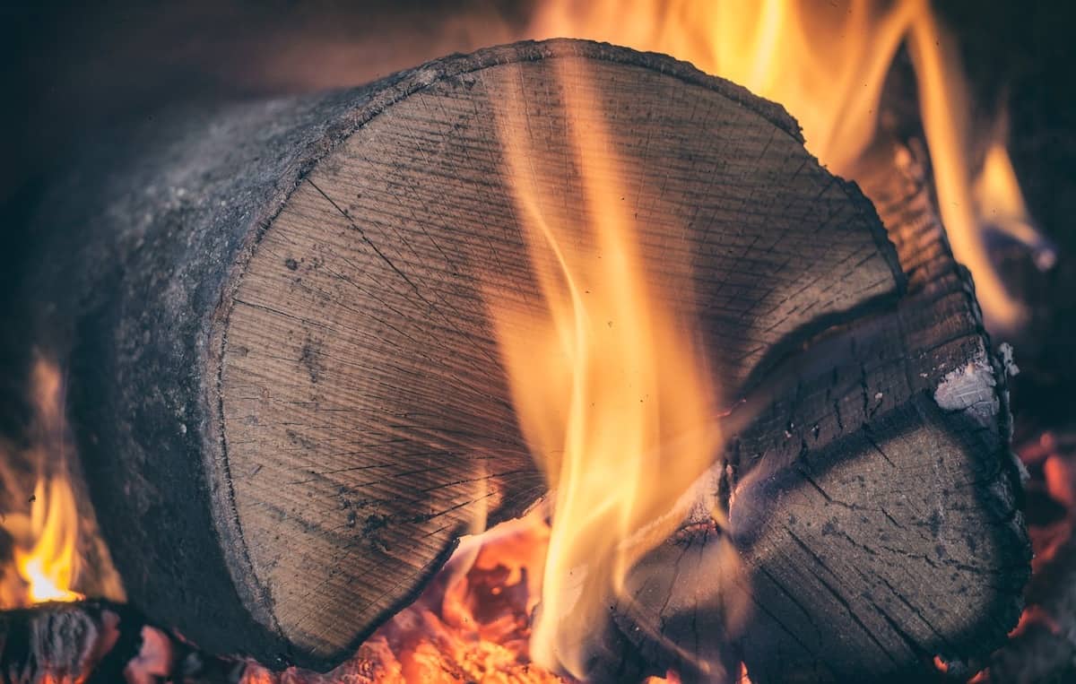 Firewood - the best wood species to use