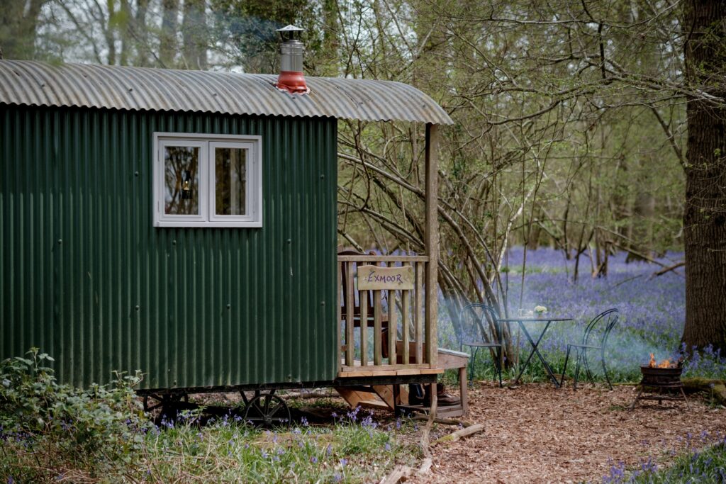 DWS 260410 Knepp 0539 1024x683