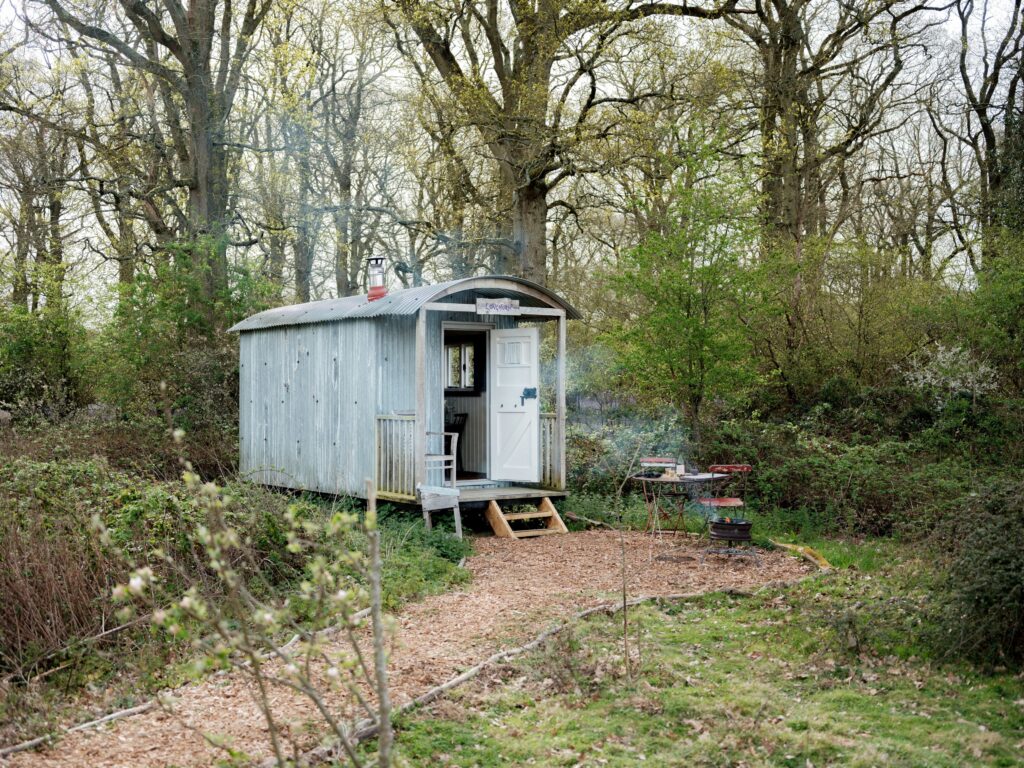DWS 260410 Knepp 5663 1024x768
