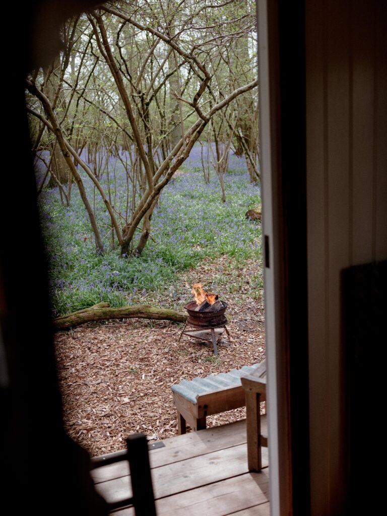 DWS 260410 Knepp 6006 768x1024