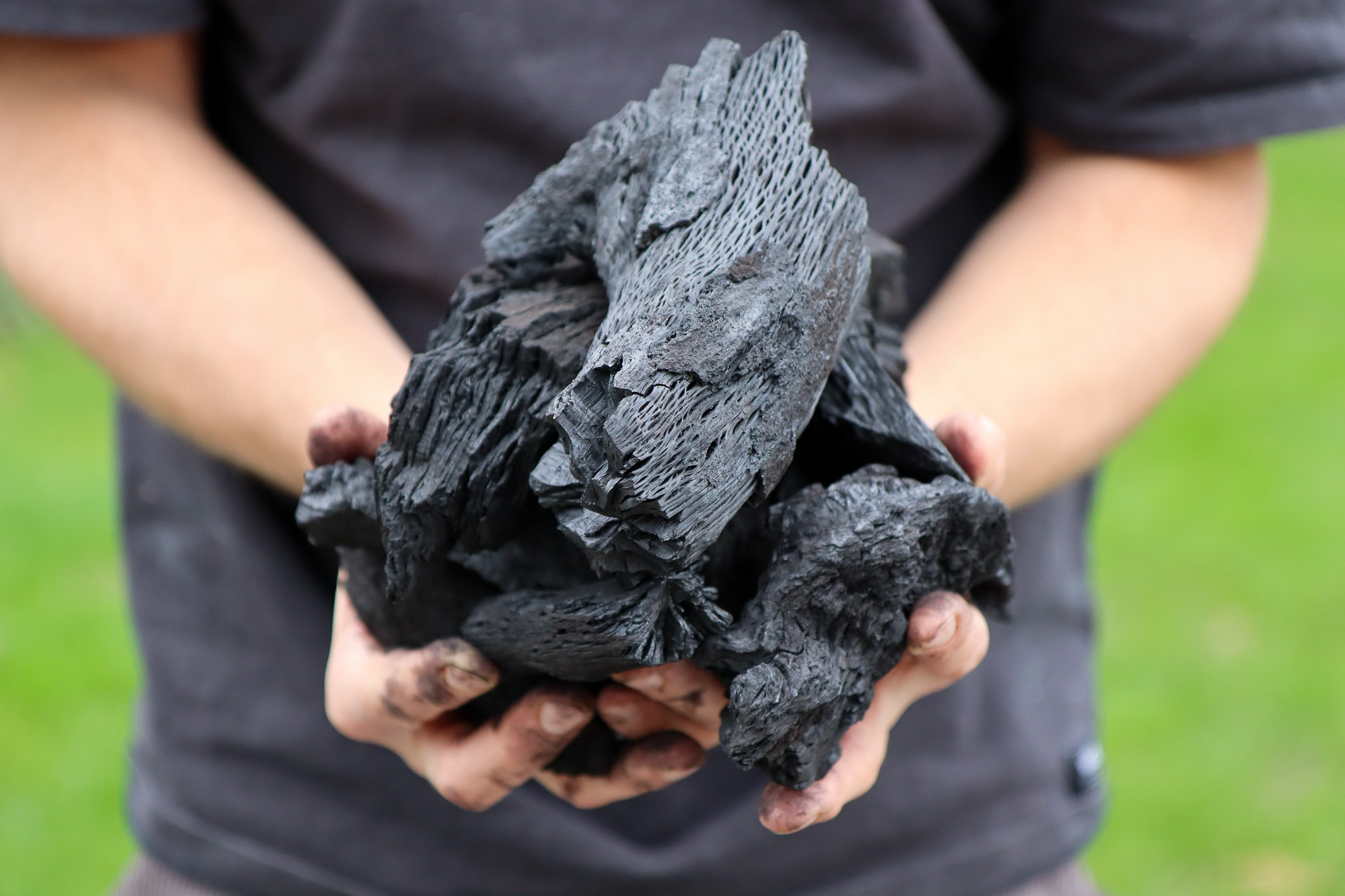 Iberian Holm Oak Charcoal 3